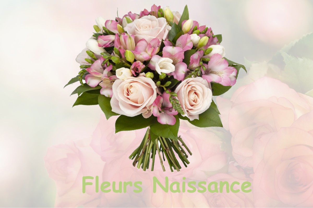 fleurs naissance GARCHES