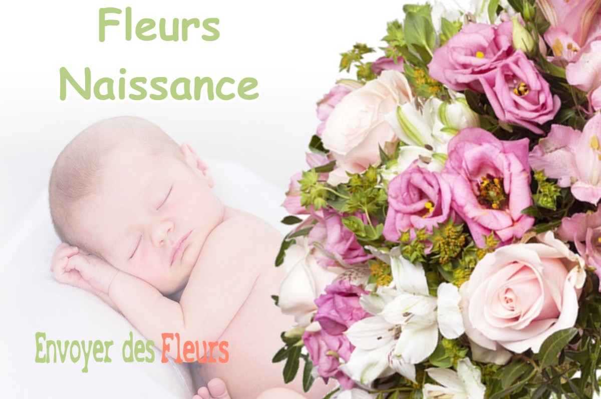 lIVRAISON FLEURS NAISSANCE à GARCHES